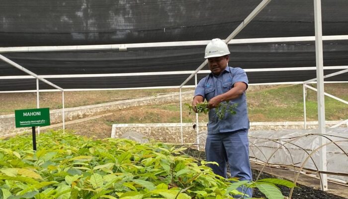 Kolaborasi Inalum dan PJT 1 untuk Konservasi Air, Hutan, dan Masa Depan Danau Toba